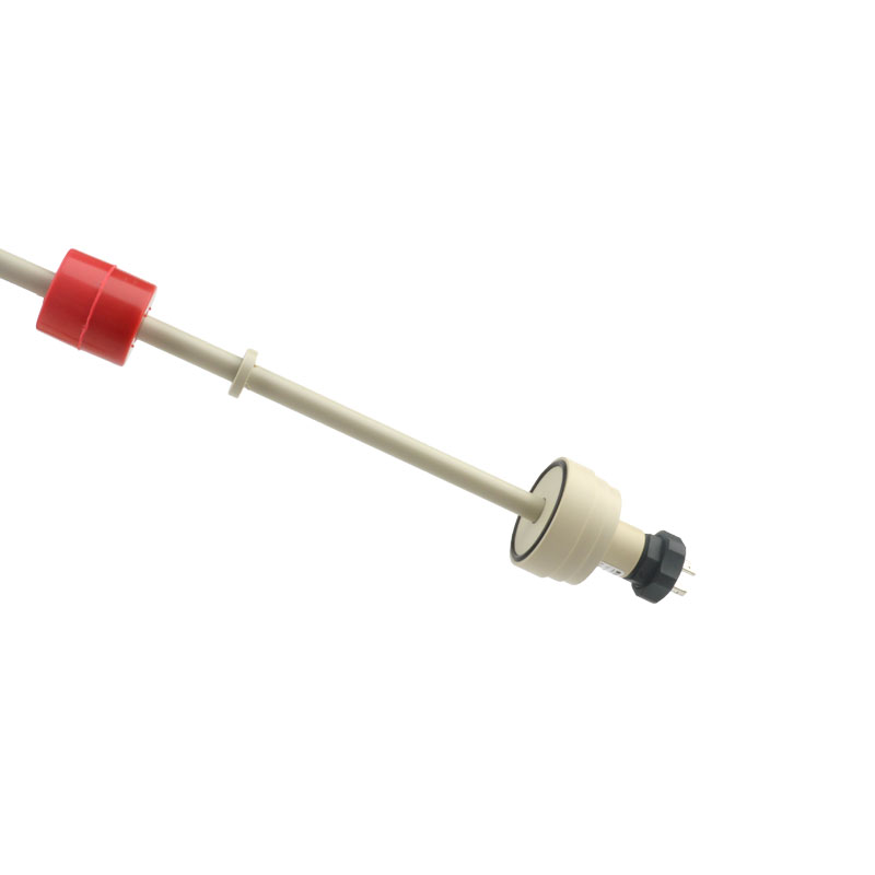 SSPP.2.A2.B4.205.305 RST ED